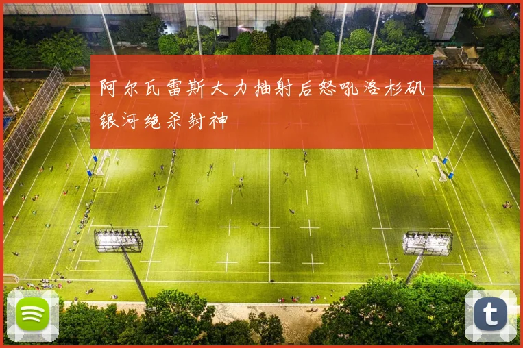 阿尔瓦雷斯大力抽射后怒吼洛杉矶银河绝杀封神